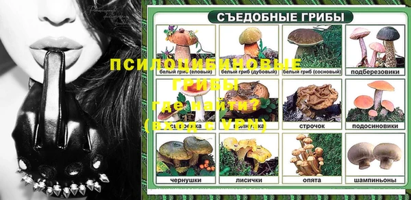 марки nbome Заводоуковск