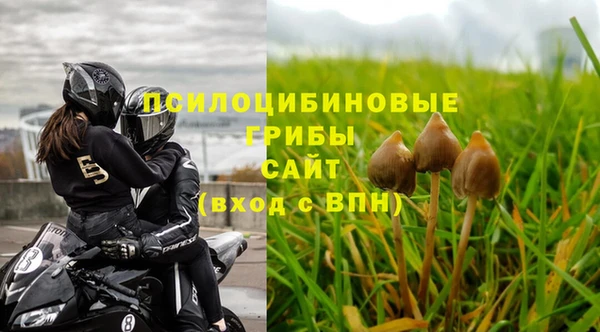 марки nbome Заводоуковск